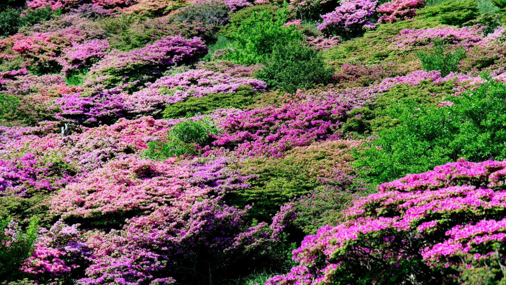 Unzen Iwaki Ryokan Exteriör bild